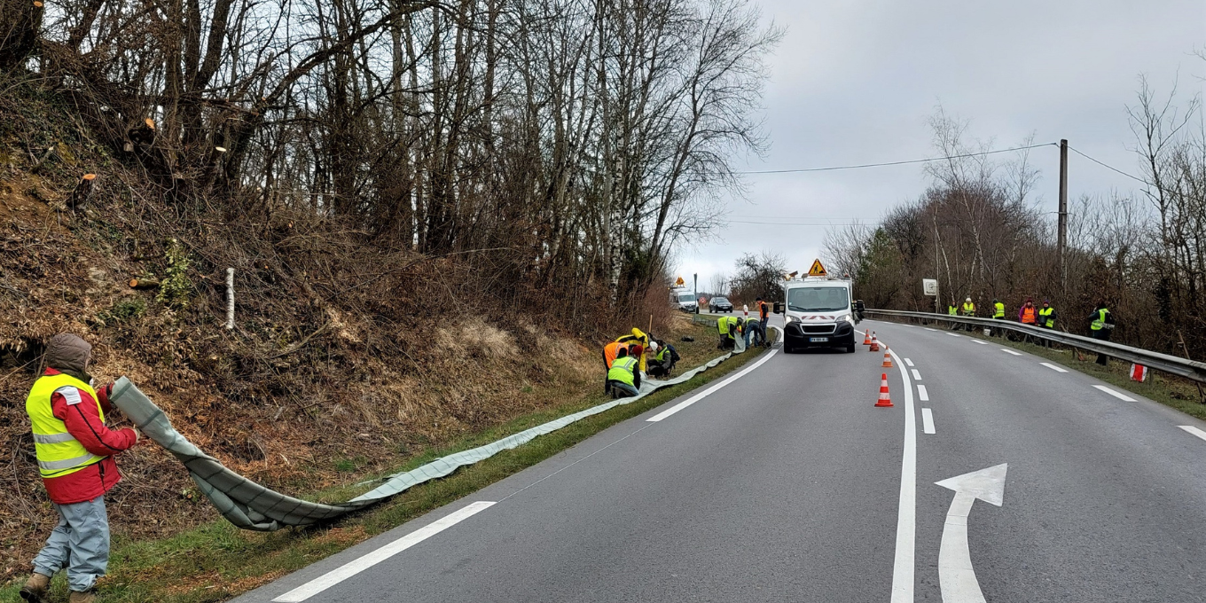 Démontage du dispositif de sauvetage routier des amphibiens à Mathay